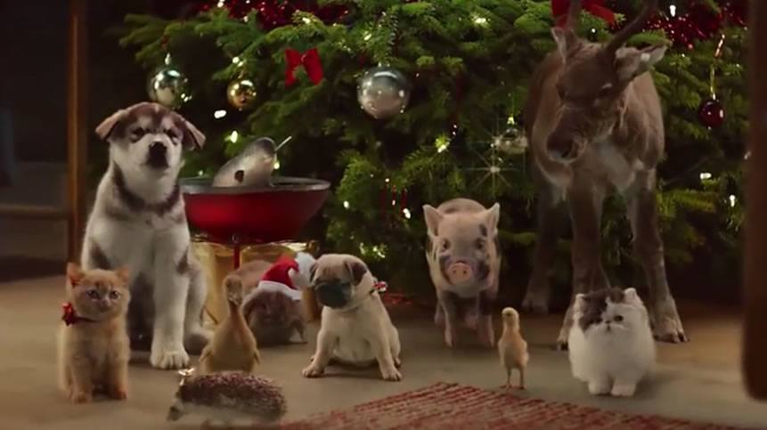 United Biscuits Pulls Rabbit From First Christmas Ad in Over 30 years