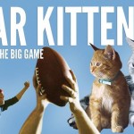 Friskies BuzzFeed Kitten Campaign