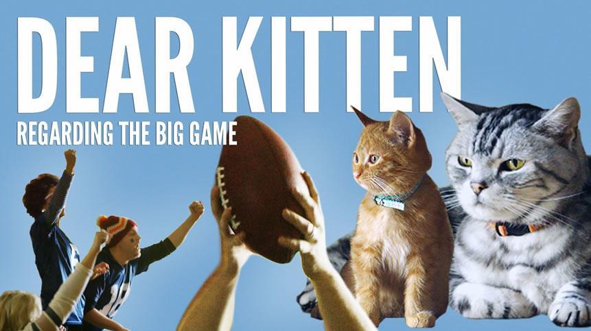 Friskies to Air Kitten-Sized Ad During the Big Game