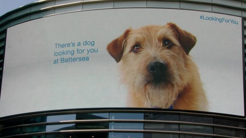 Watch How A Virtual Dog Follows You Around A Shopping Centre: New Innovative Interactive Campaign by Battersea