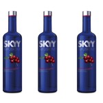 Skyy Vodka Cranberry