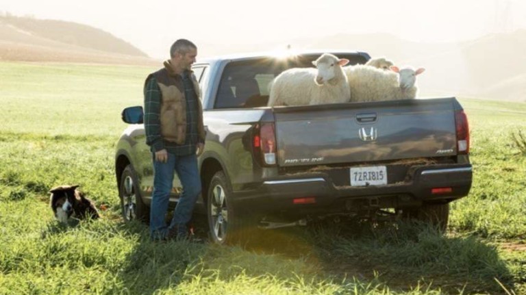 Honda Dubs Ridgeline the New Truck to Love