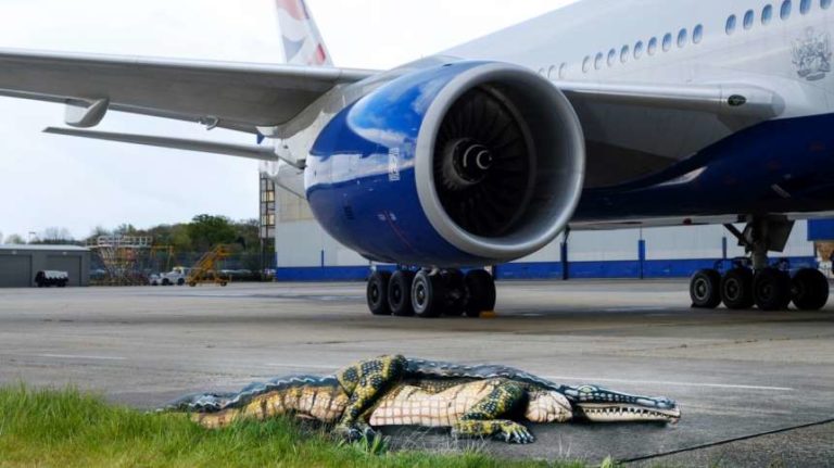 British Airways Goes Alligator over Florida Deals