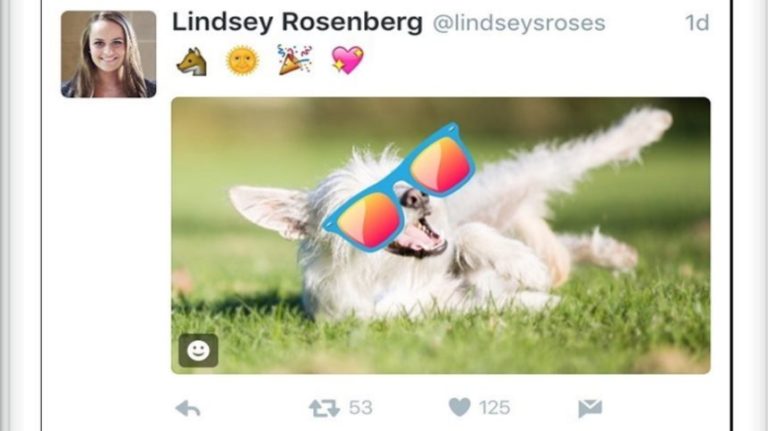 Twitter Sweeps in with #Stickers for Photo Editing