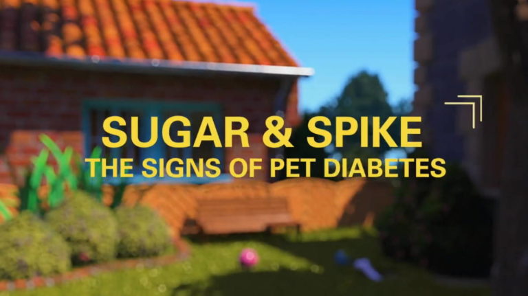 Merck Animal Health Introduces Pet Diabetes Educational Programme