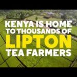 Lipton Partners with WE to Support and Empower Female Tea Farmers