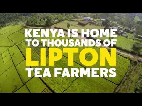 Lipton Partners with WE to Support and Empower Female Tea Farmers