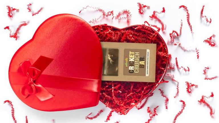 Terminix Spreads the Love Bug for Valentine’s