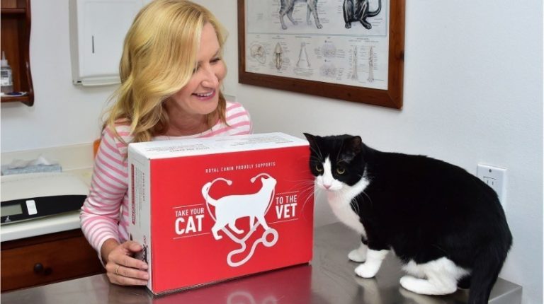 Royal Canin Partners team up with celebrity cat lover Angela Kinsey