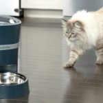 PetSafe Introduces Alexa Integrated Automatic Pet Feeder