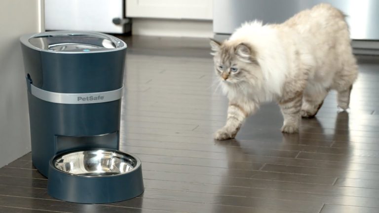 PetSafe Introduces Alexa Integrated Automatic Pet Feeder