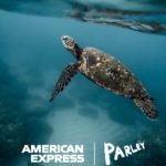 American Express & Parley Back_Our_Oceans_Turtle