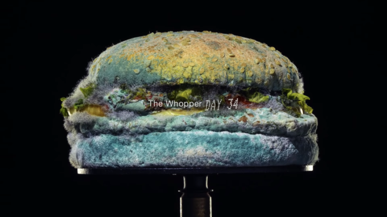 Burger King Whopper timelapse shows mould as a beautiful thing