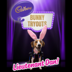 Inspirational rescue pup wins Cadbury Bunny Tryouts