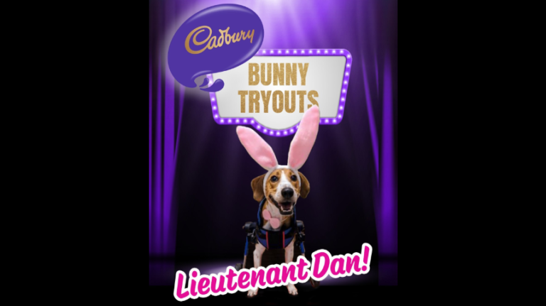 Cadbury Bunny Tryouts finds a winner in a rescue pup