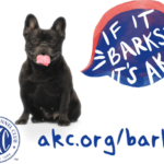 American Kennel Club launches US marketing campaign