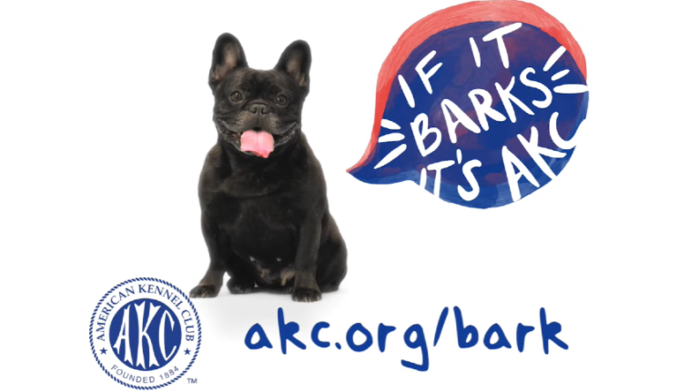 American Kennel Club launches US marketing campaign