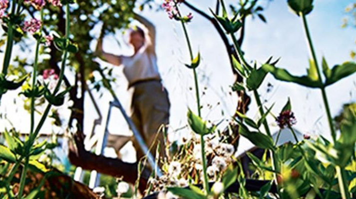 L’Occitane Group joins ‘One Planet Business for Biodiversity’ coalition