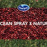 Ocean Spray launches marketing campaign in collaboration with nature