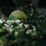 Lexus launches Culinary Perspectives, its first global digital cookbook