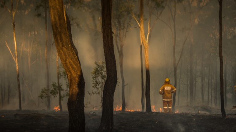 Coca-Cola Company announces its support in the wildfire relief efforts