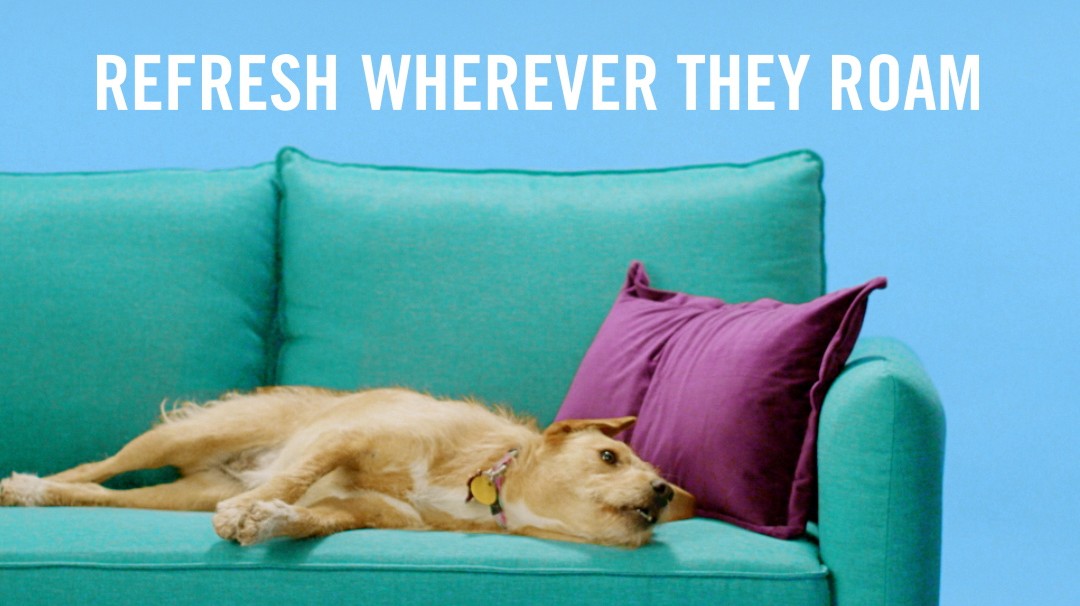 Febreze calls on dog owners to “Say Up to Your Pup”