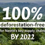 Nestlé moves beyond forest protection to a forest positive strategy