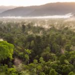 Puma commits to protecting forests in partnership with NGO Canopy