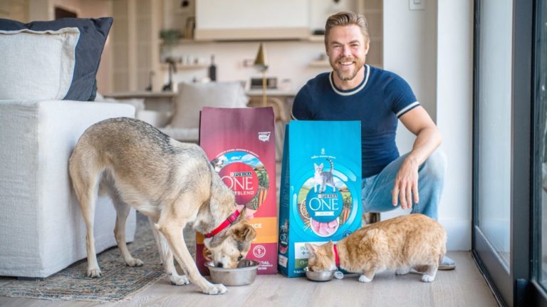 Purina ONE partners Derek Hough to help pets find forever homes