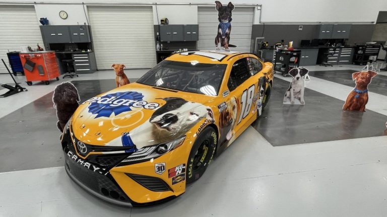 Mars Petcare and the Pedigree Foundation partners with Kyle Busch