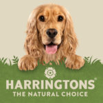 Harringtons by World Branding Forum