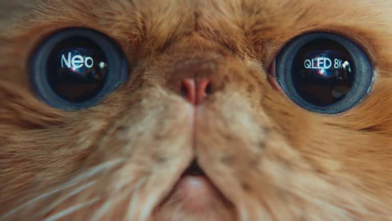 Learn How to Impress World’s Grouchiest Cat With Samsung Smart TV Ad