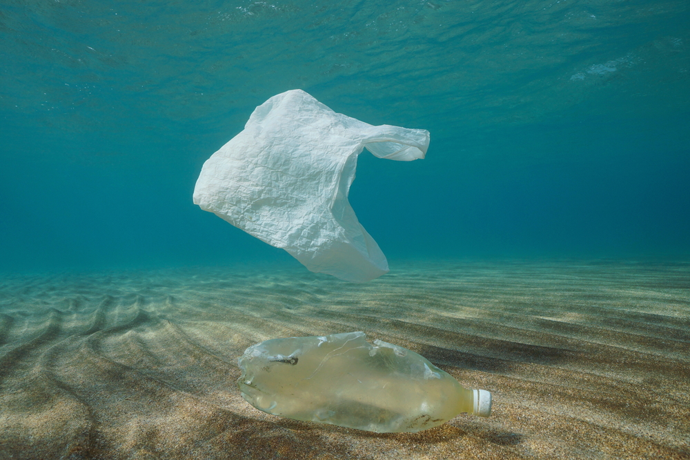 Plastic pollution in waters