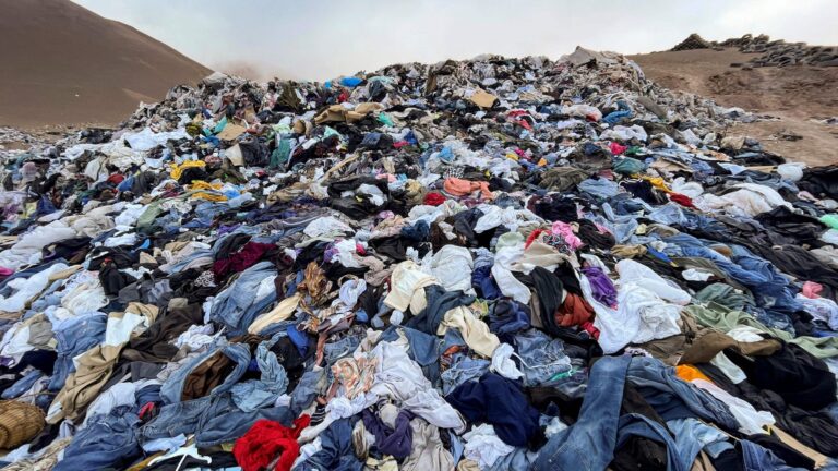 Dressing for Disaster: The Environmental Crisis of Fast Fashion