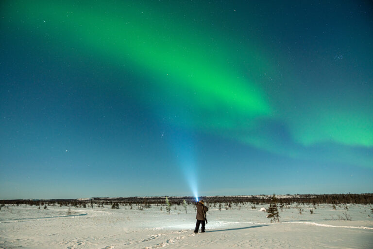 Expedia: 2024’s Celestial Temptations to the Northern Lights