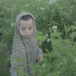 Basmalla,10. and her siblings pick jasmine through the night to help their mother make ends meet