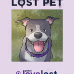 Petco Love launches their MY RUFF DAY campaign, featuring Boomer pictured here in the animated short series, to increase the number of reunions with their free to use, national lost and found database for pets, Love Lost. Image Source: Petco Love