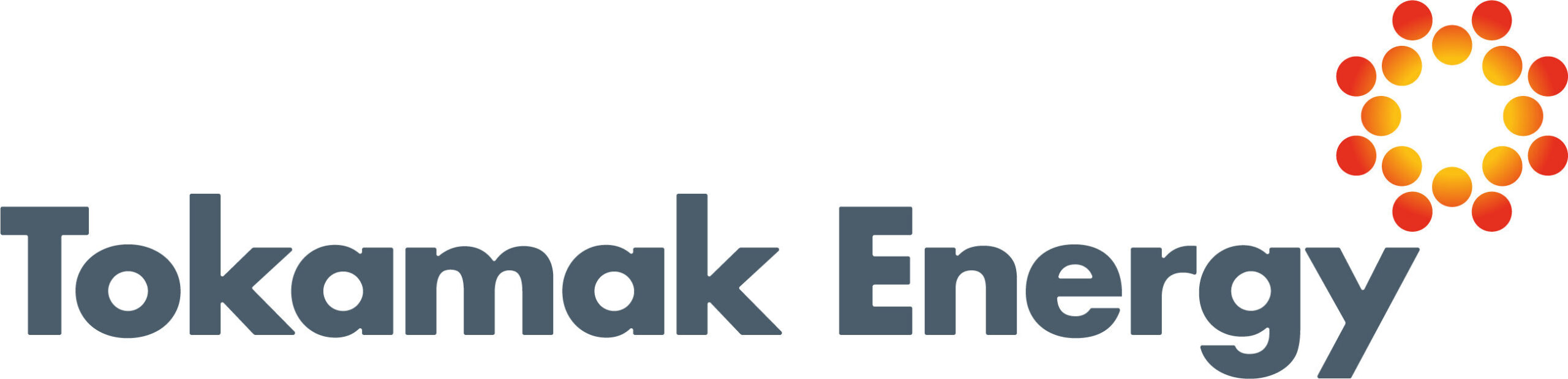 Tokamak Energy Logo