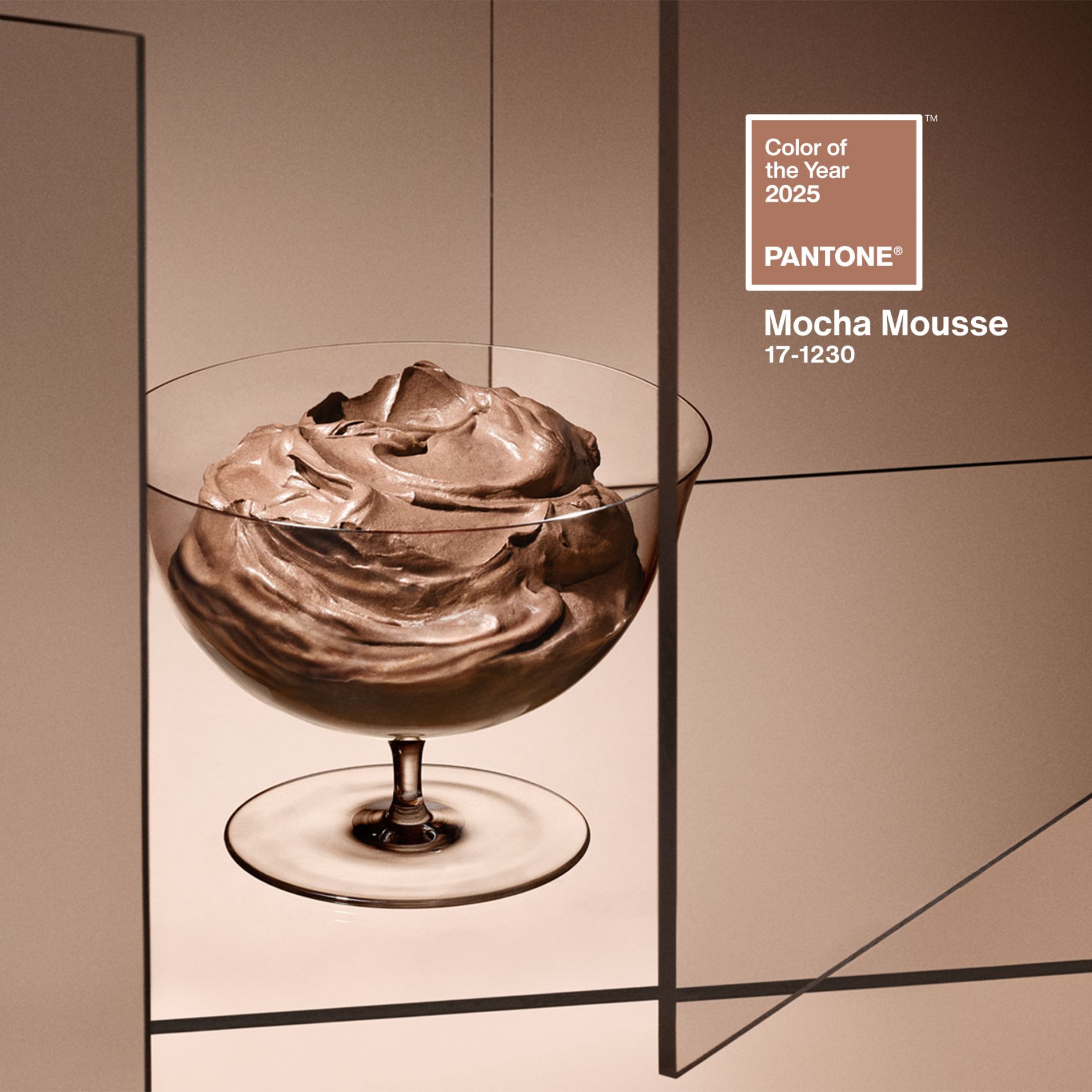 PANTONE 17-1230 Mocha Mousse Colour Palettes. Image source: Pantone