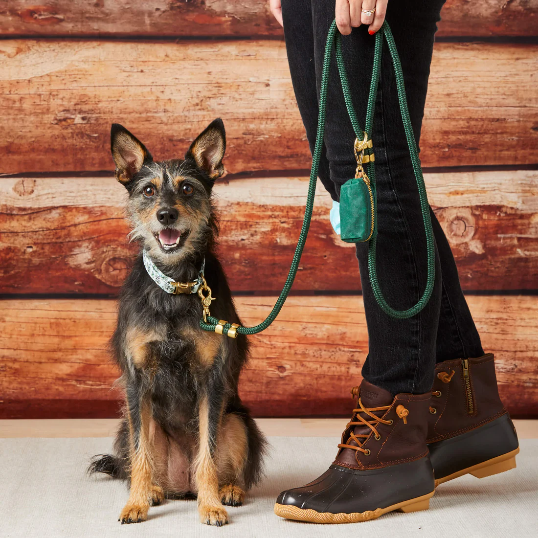 Gray Malin x TFD Snowy Pines Collar Walk Set. Image source: TFD