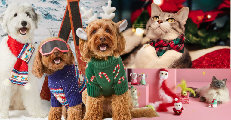 Holiday Paw-shion: 5 Top Trends for Your Furry Friend