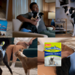 Image source Hartz/Cutwater