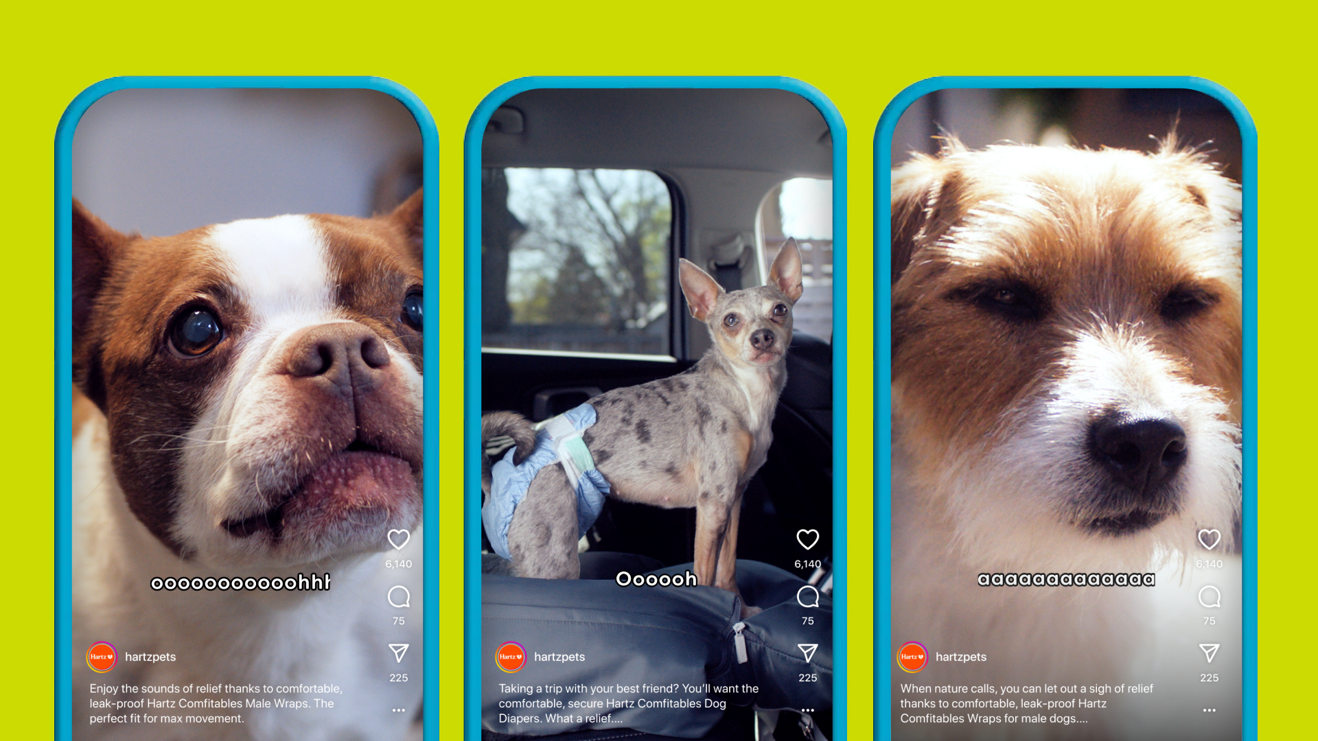 Image source: Hartz/Cutwater